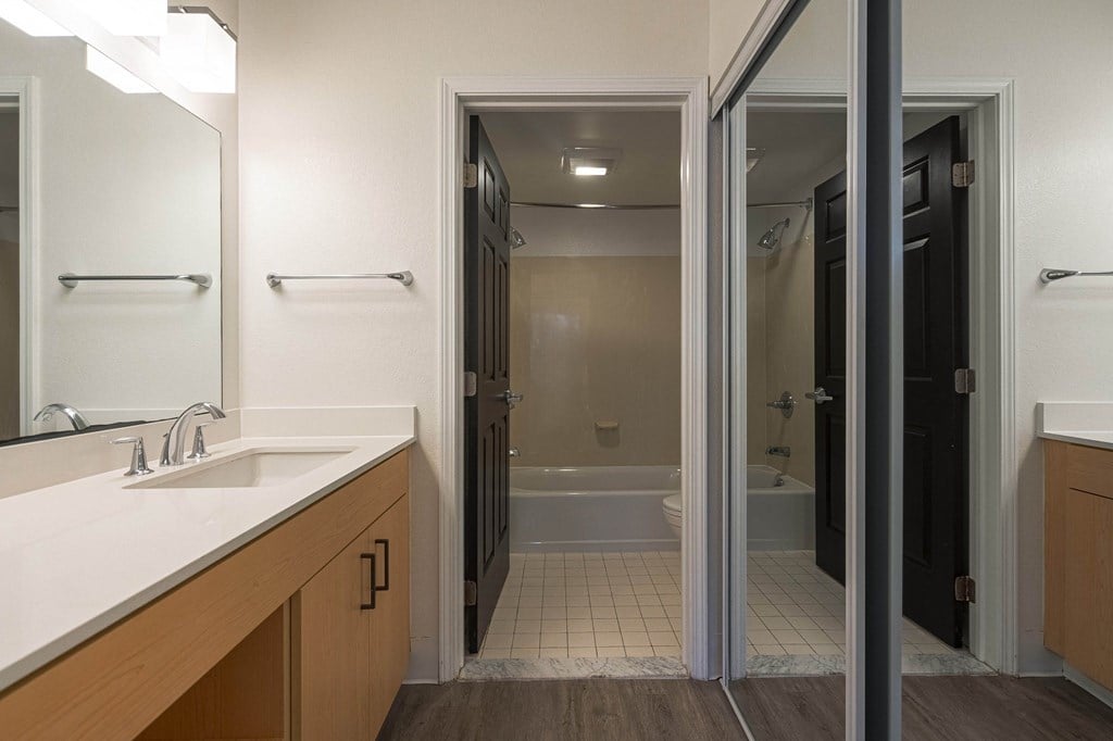 a bathroom with a sink and a shower and a mirror